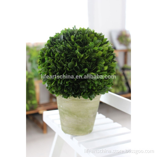 elegant preserved boxwood 20cm boxwood ball with factory price